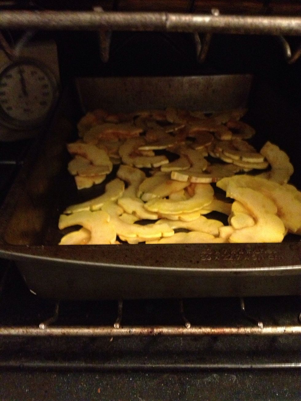 Place a thin layer of coated slices on a baking sheet or in a baking pan. You may have to split your slices into two batches.