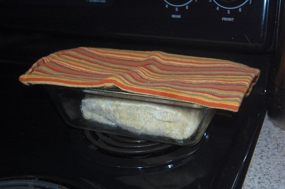 Place a towel over dough. Set it in a warm place and let rise until it doubles in size. This will take 1-1.5 hours.