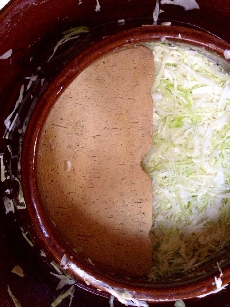 Place a weight on the cabbage once you have finished filling the choucroutier. A plate topped with enough weight (this can be a non-porous stone).