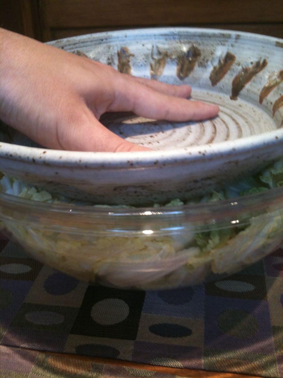 Place a weighted plate/bowl on top of the mixture, and let it stand at room temp for an hour.