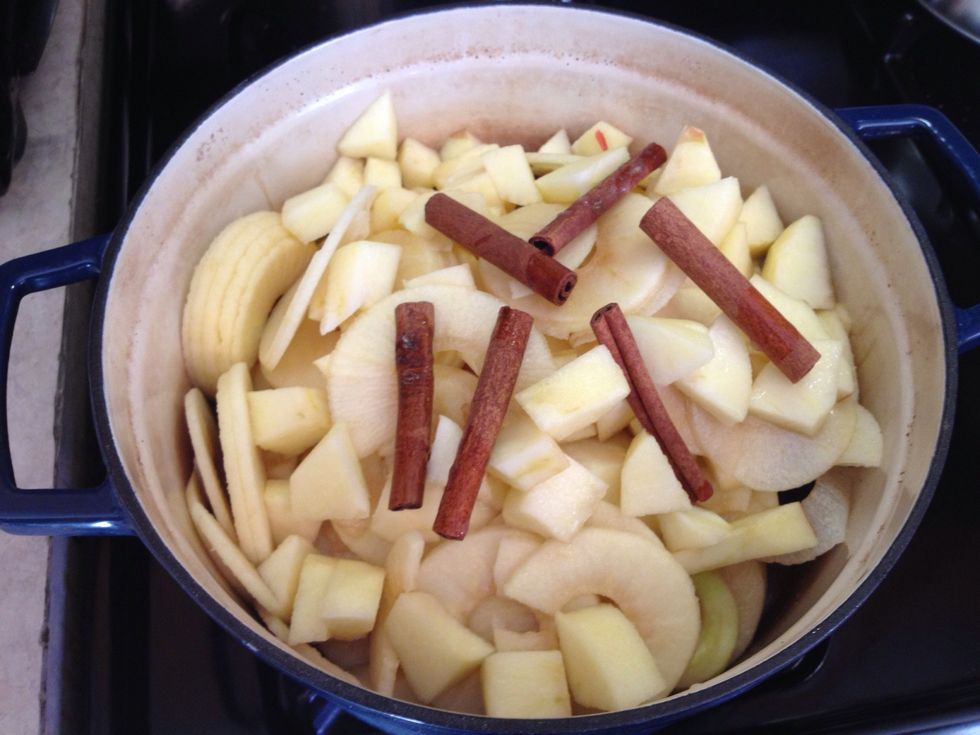 Place all ingredients in heavy pot.  Cook on med to low for about an hour or until desired thickness. Btw I used honey crisp apples. They r sweeter, therefore no added sugar required. My kinda sauce!