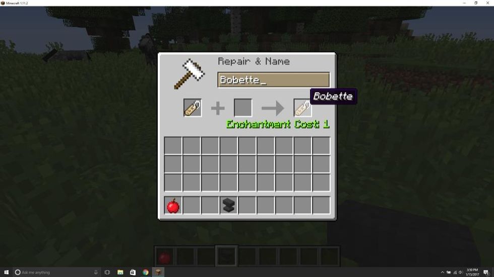 Place an anvil and drag a name tag into it. Type in the name of your new horse at the top and take the name tag out of the anvil from the right.