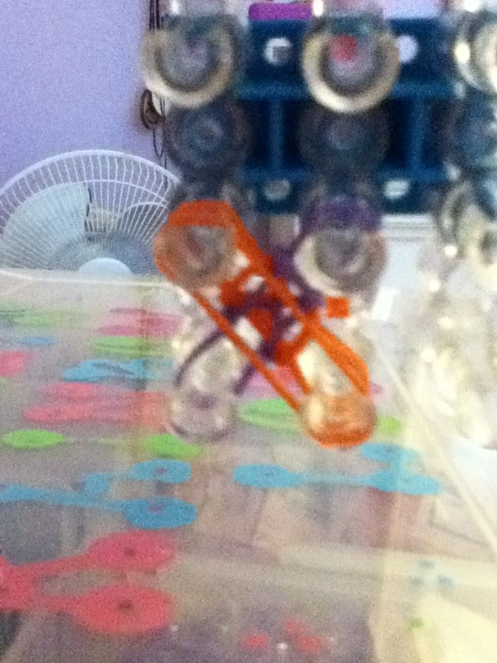 Place another orange band