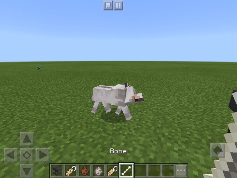 How to do name tag tricks in minecraft - B+C Guides