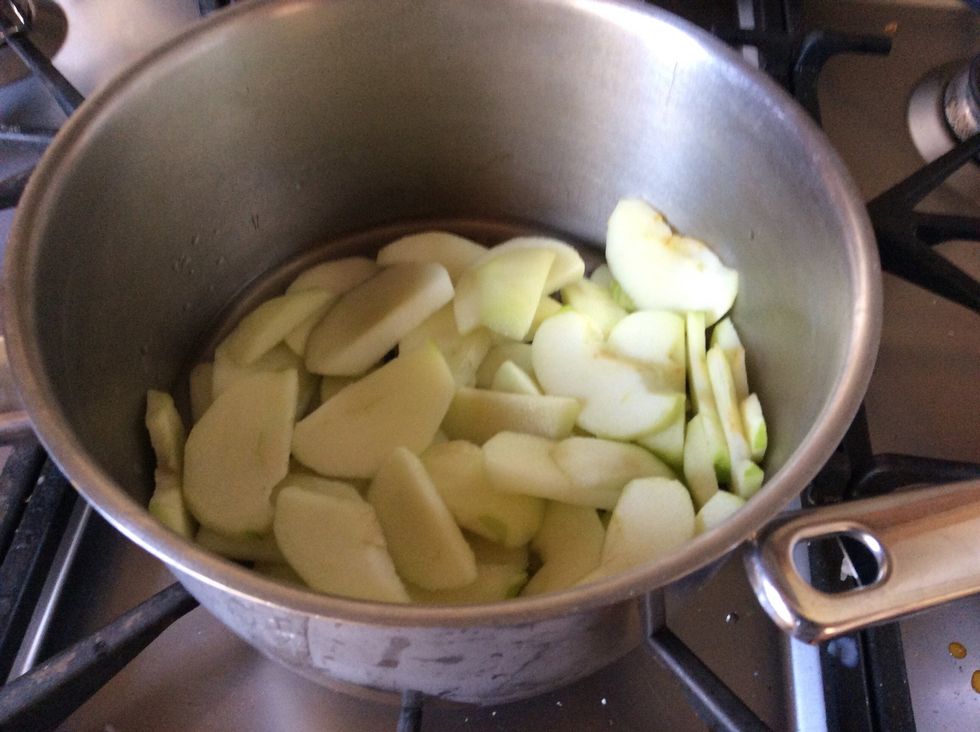 Place apple slices 1 cup of water and 1 tablespoon of sugar in a pan on medium heat. cook till apples are soft.