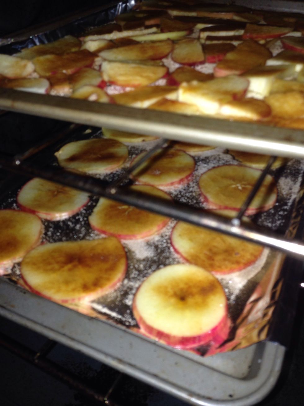 Place apples in your preheated oven and bake for 1 hour. After 1 hour, flip the apples over and bake for another 1- 1 1/2 hours. Turn oven off and let chips cool completely in oven before removing
