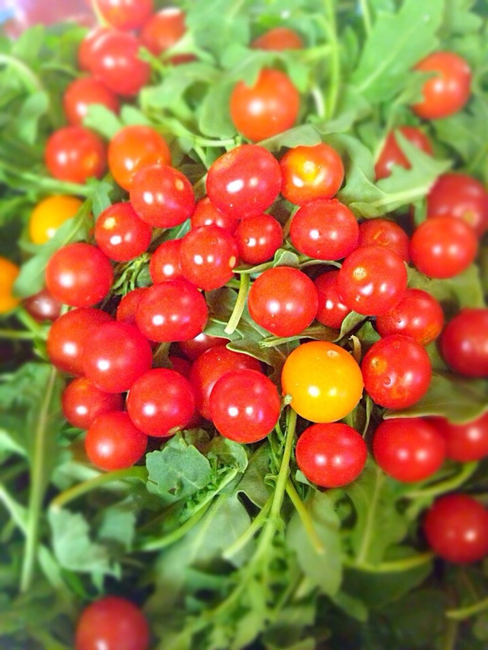 Place baby arugula with tomatoes in a mixing bowl (note that arugula is spicy herb therefore for less spice you can use any other salad mix)