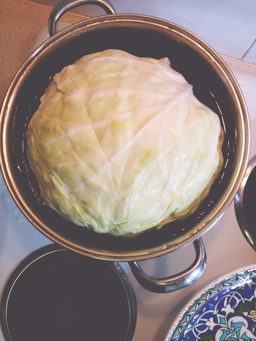 Place cabbage in a large pot of boiling water until wilted, this should take a few minutes. Do NOT overcook cabbage!