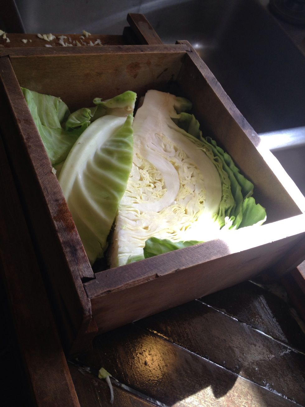 Place Cabbage in Cutter box to slice