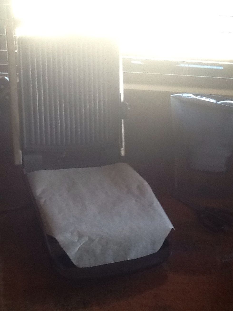 Place cooking paper over grill and begin to heat grill by turning it on