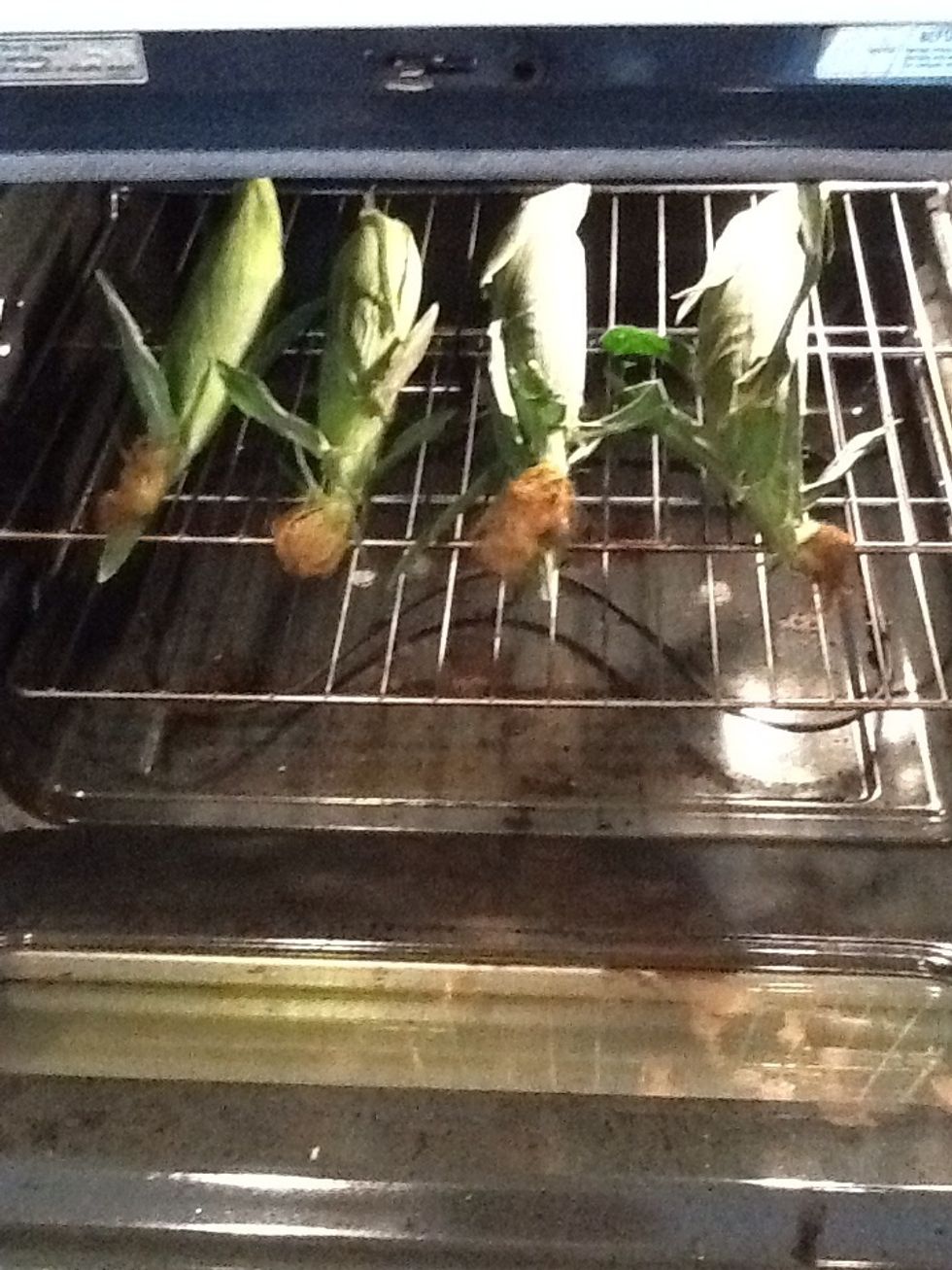 How to make corn on the cob in the oven B+C Guides