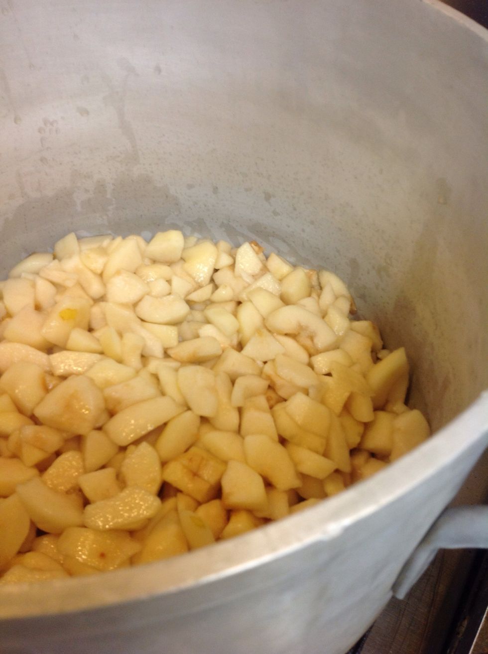 Place cut fruit into a large heavy pot. Bring to a simmer.