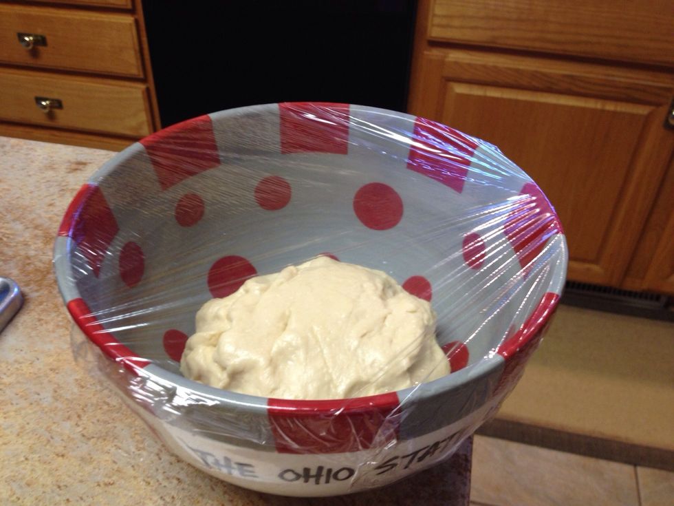 Place dough ball in the large oiled bowl, then roll it around as to cover the dough lightly in oil, cover with plastic wrap and allow to rise 1 hr or until doubled in size.