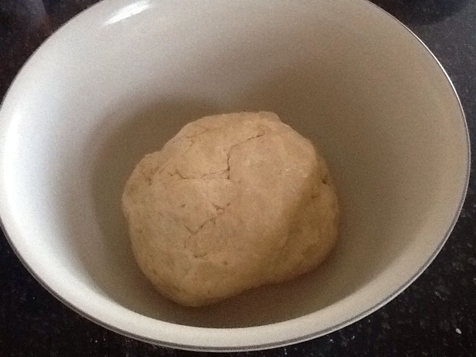 Place dough in an oiled bowl and cover with a flour sack towel or plastic wrap.