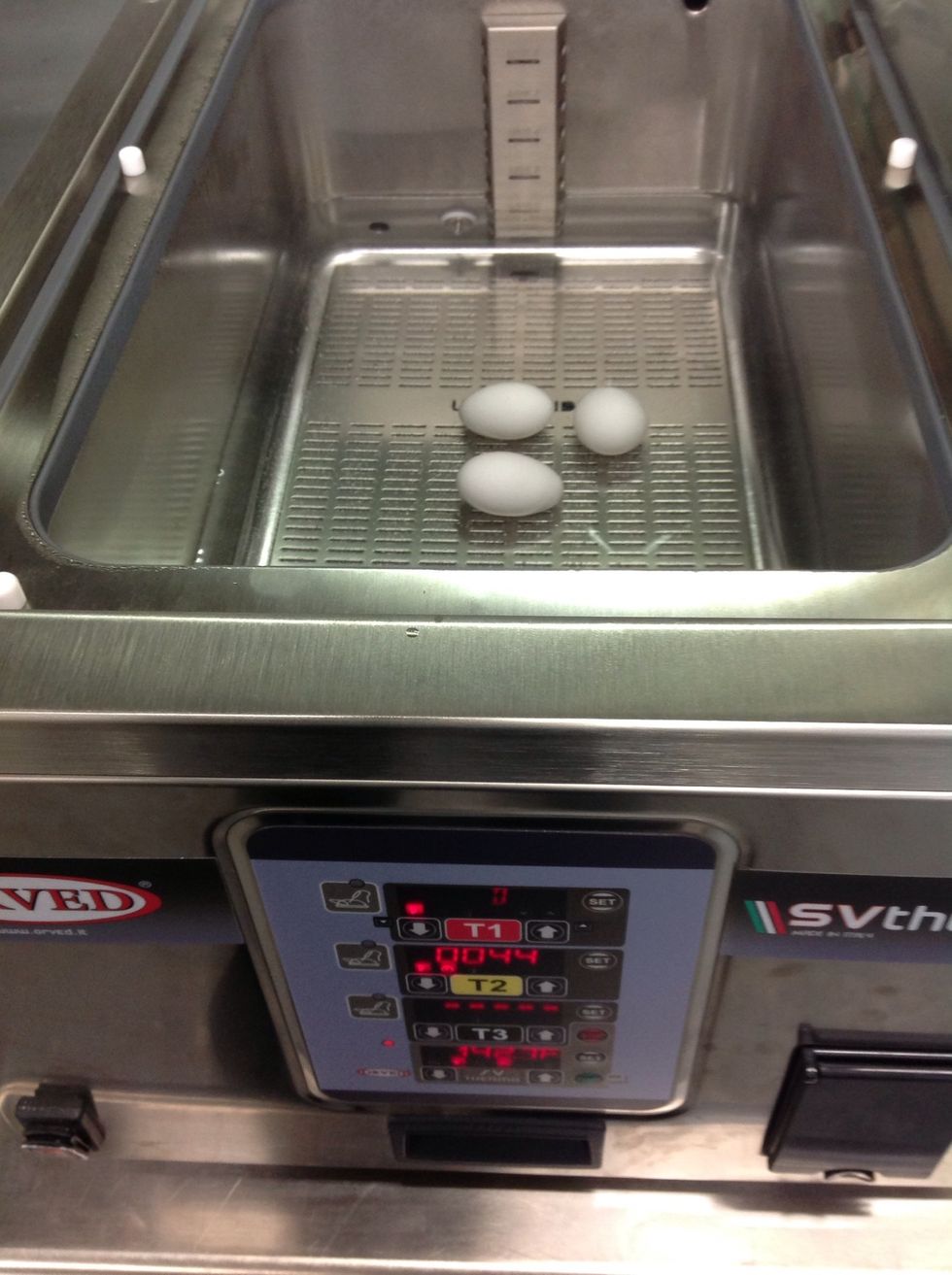 Place egg(s) in a thermo bath preheated to 144F. Cook for 45 minutes.