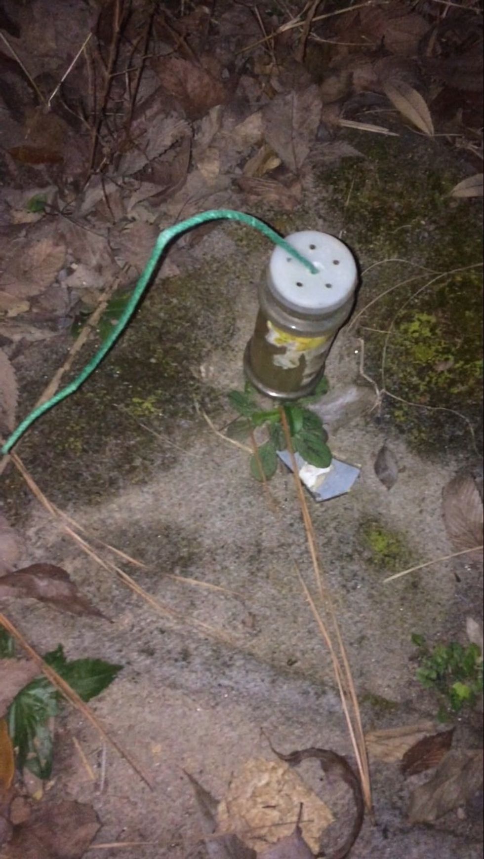 Place flash bomb outside on open field and light her up