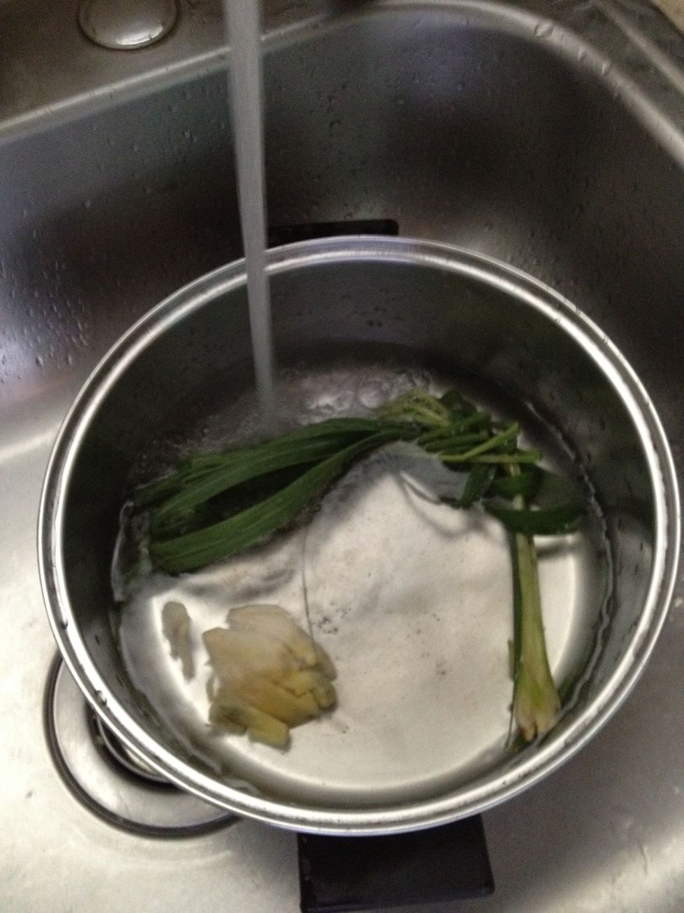 Place ginger and lemongrass in a pot or kettle and fill with water.