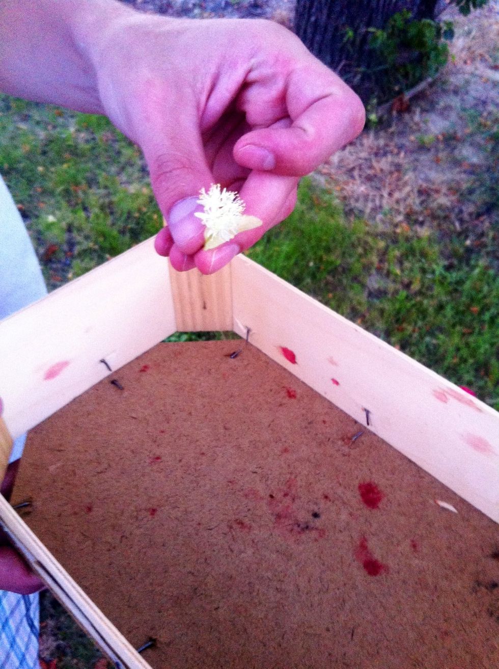 Place handpicked flower in a basket or natural wooden box