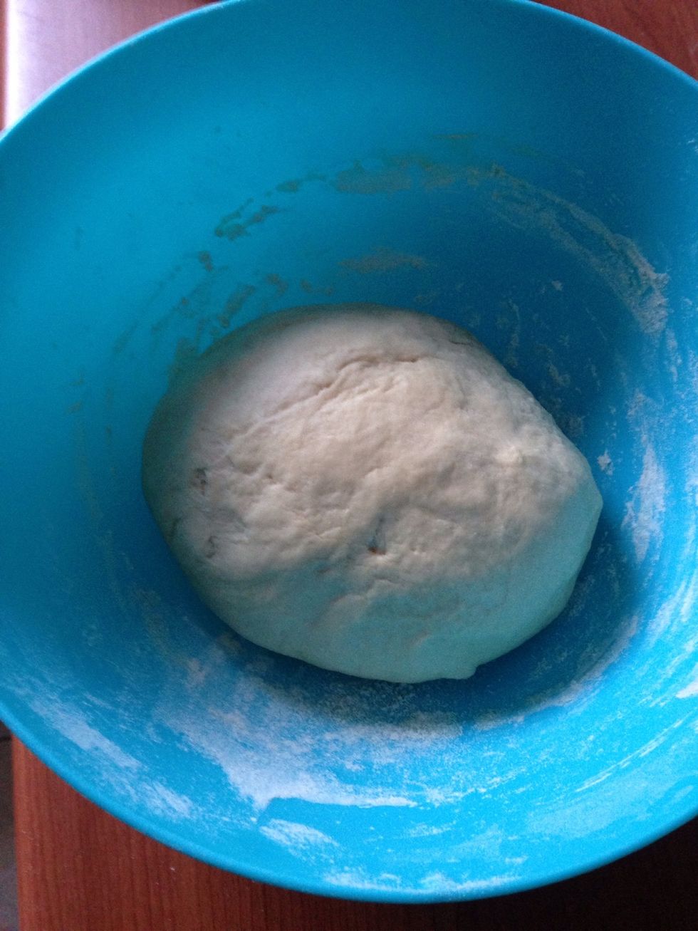 Place in a bowl and let it rest for 40 minutes