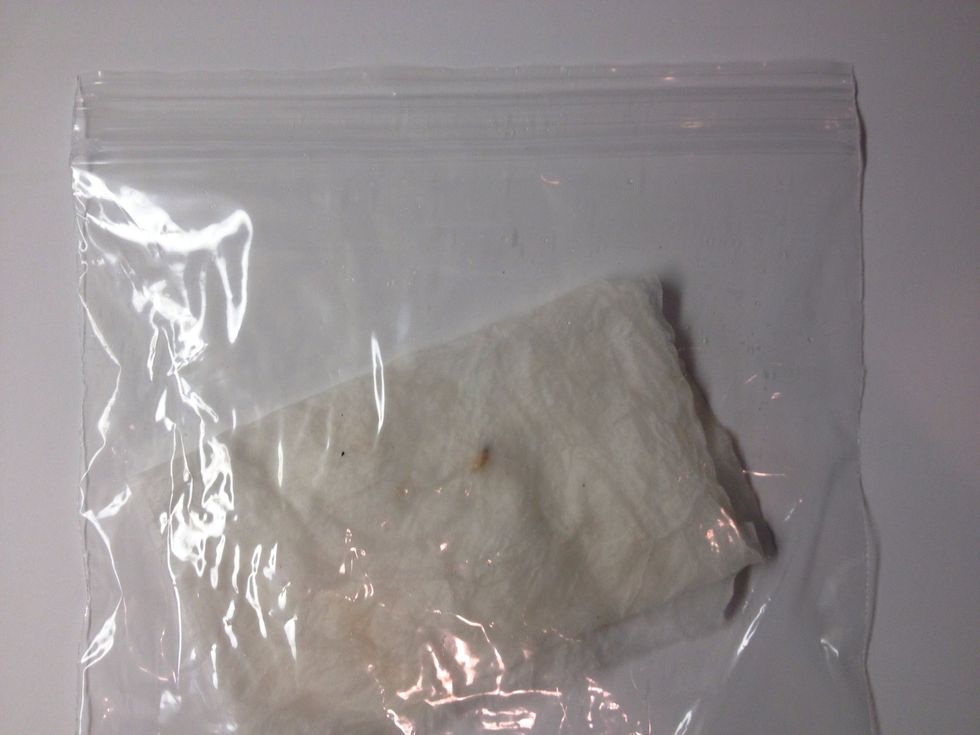 Place in a ziplock bag and store in a dark and warm place or a warm heating pad