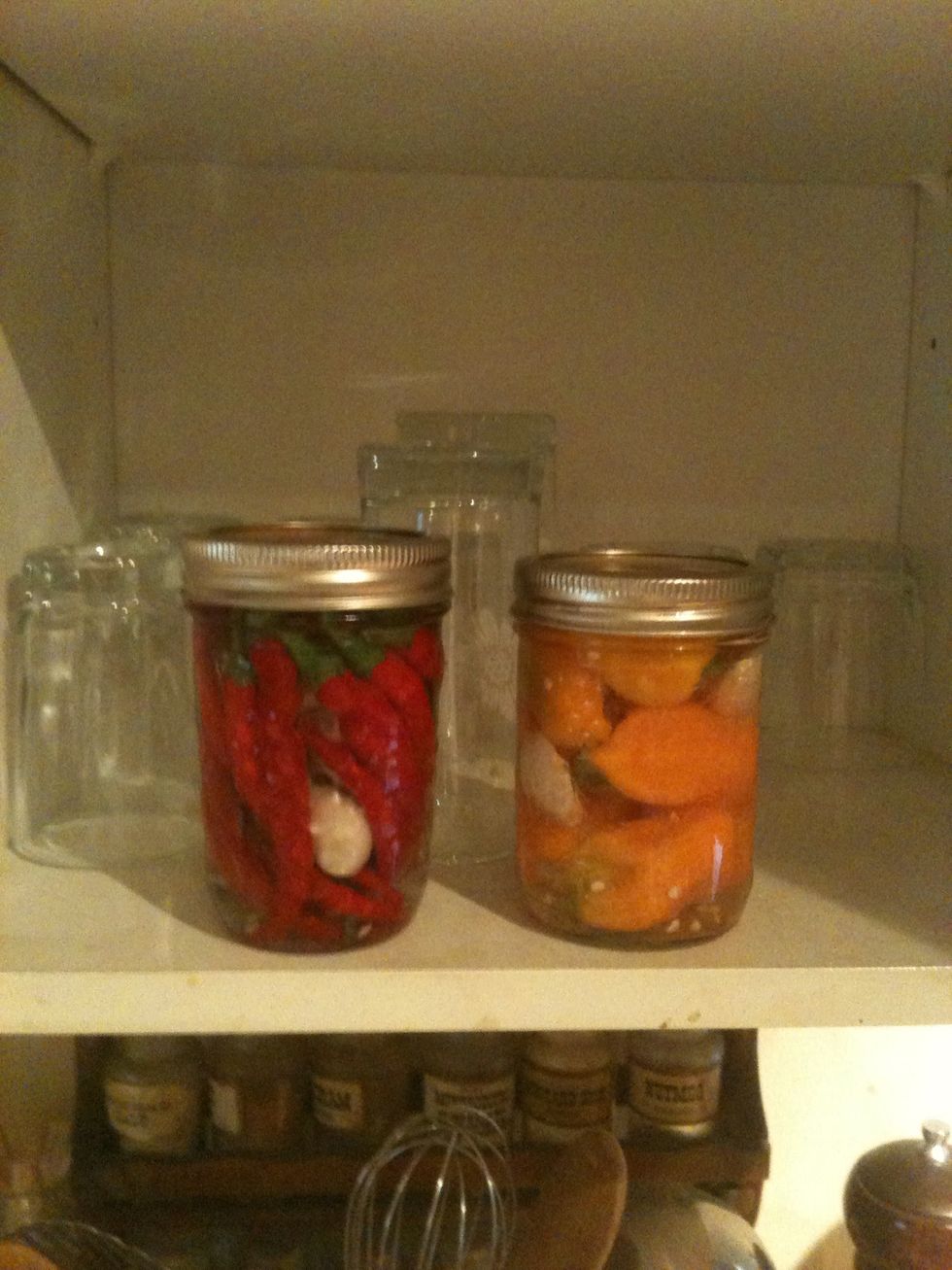 Place in cupboard for 14 days. After 14 days, take out and blend entire contents until smooth. Place contents back into jar and store in fridge (for up to a year, if it can last that long).