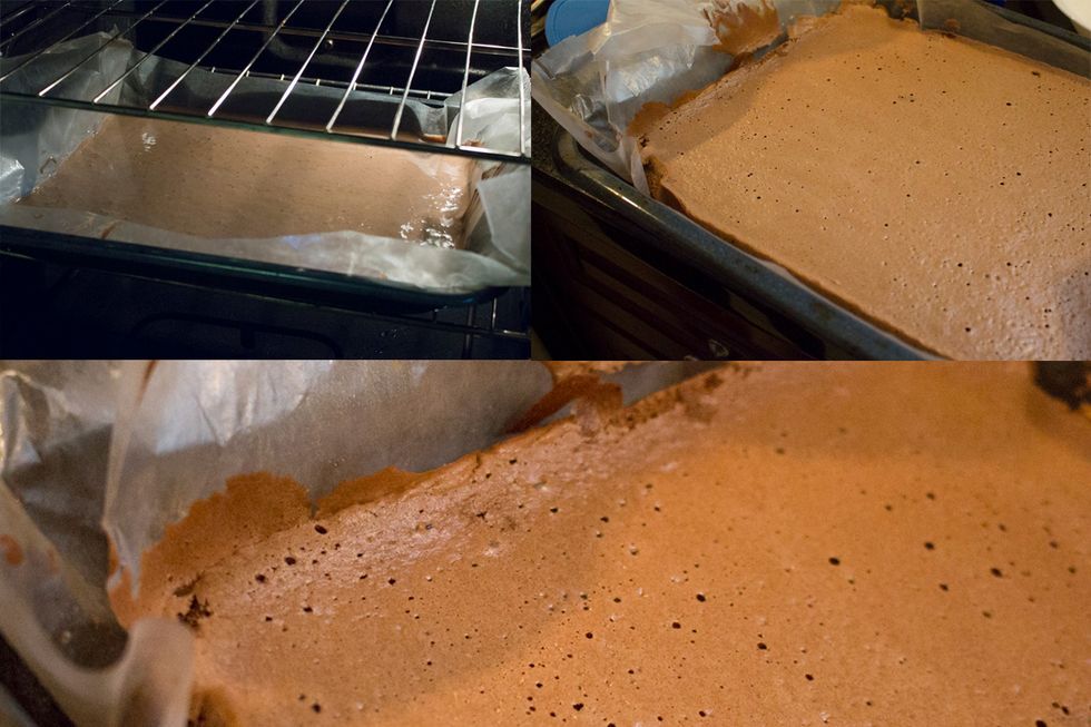 Place in oven and bake for 12-15 minutes or until cake springs back when you gently push on it.