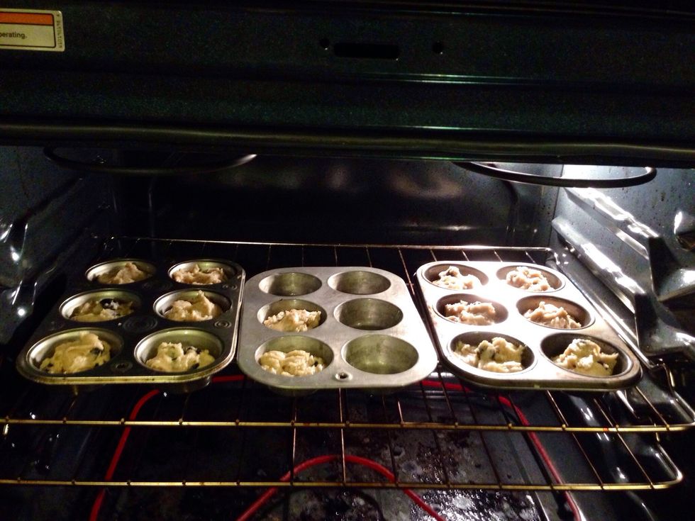 Place in oven for 20 minutes