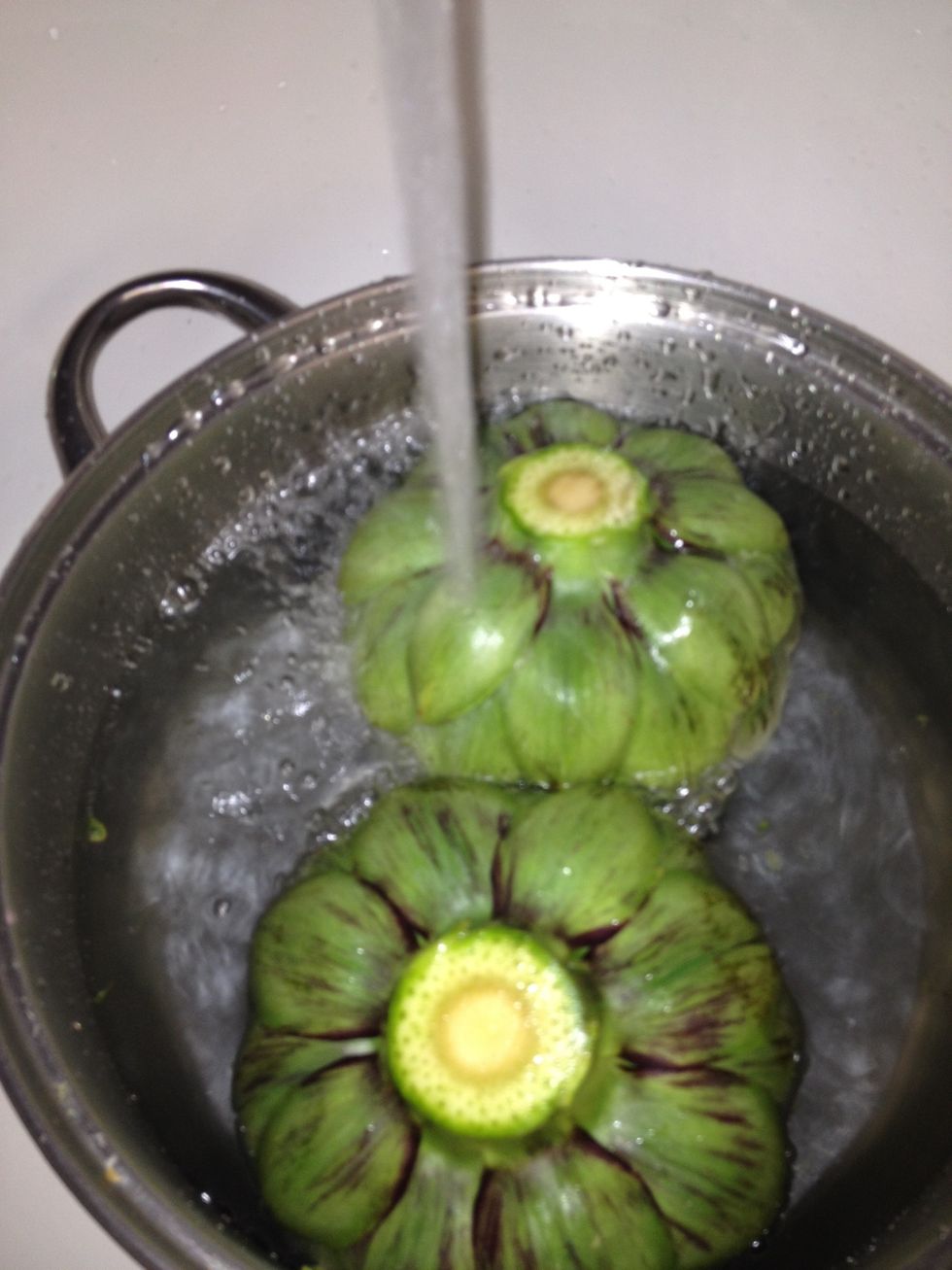 Place in pot flower side down and fill half full with water