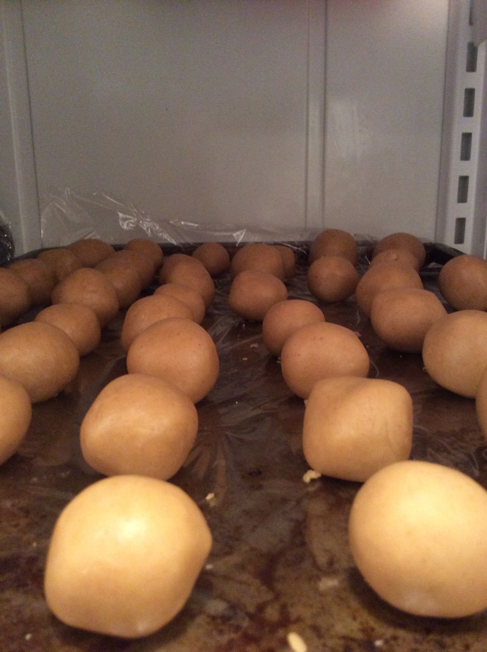 Place in refrigerator.