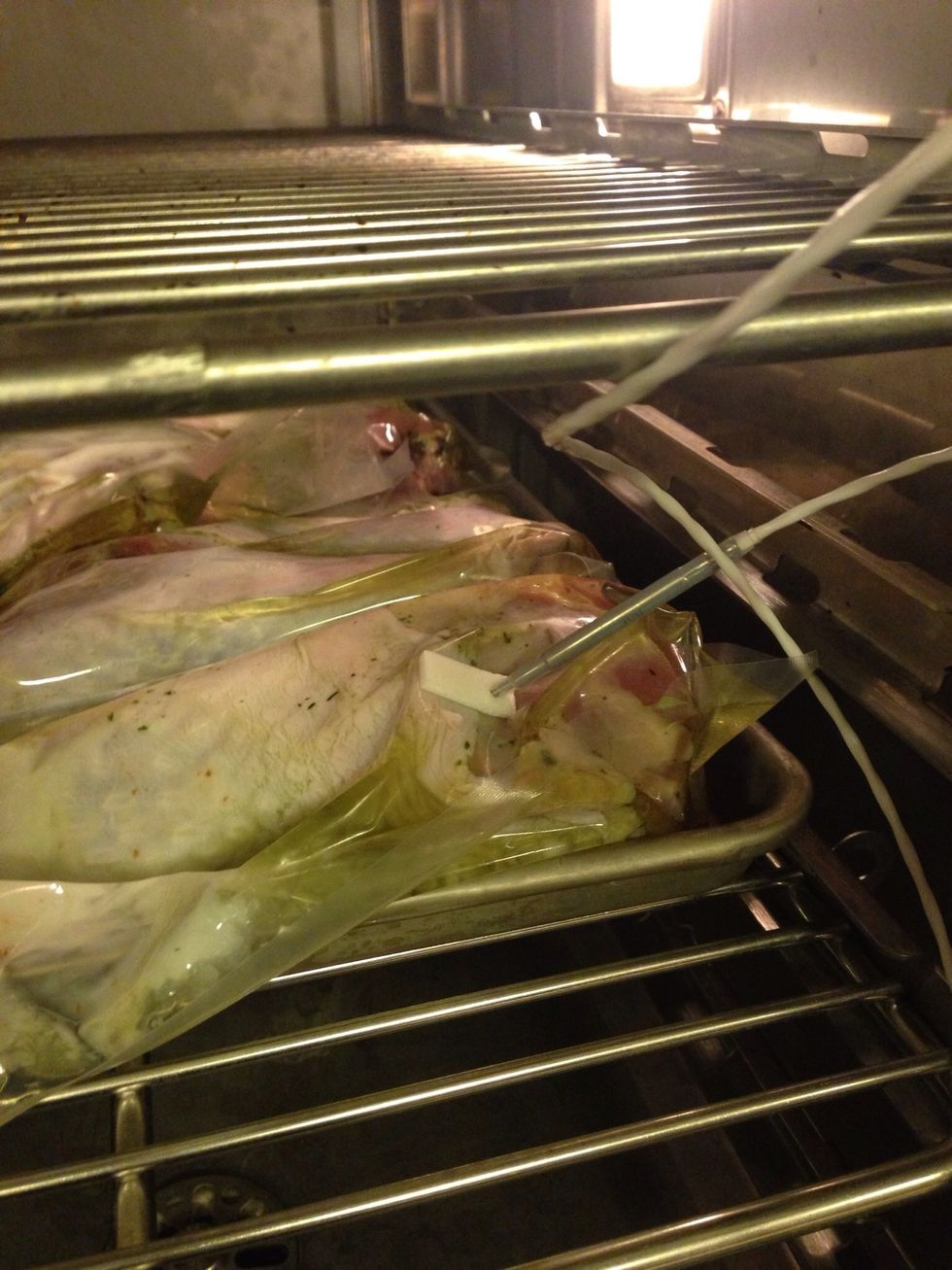 Place into combi oven at 145F (63C) overnight.