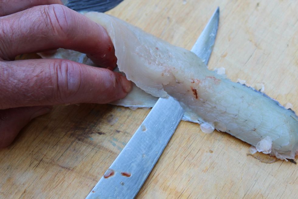 Place knife back at the tail part of the fillet with same angle. Cut into the fillet until blade reaches the skin and then see-saw back and forth again until reaching the end of skin part.