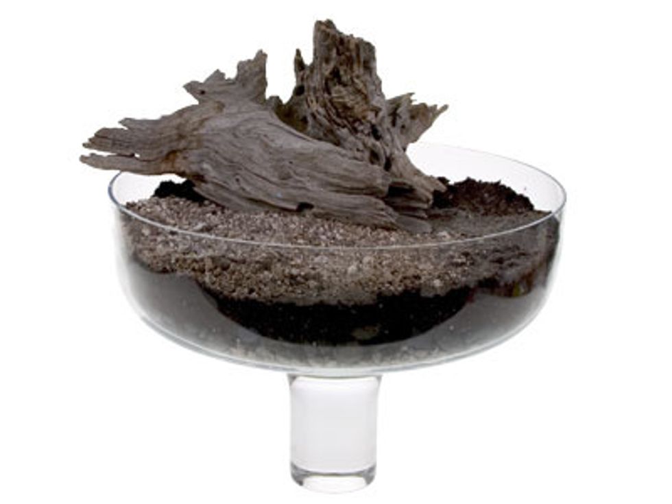 Place large interesting found objects first; keeping in mind spaces for your plants.