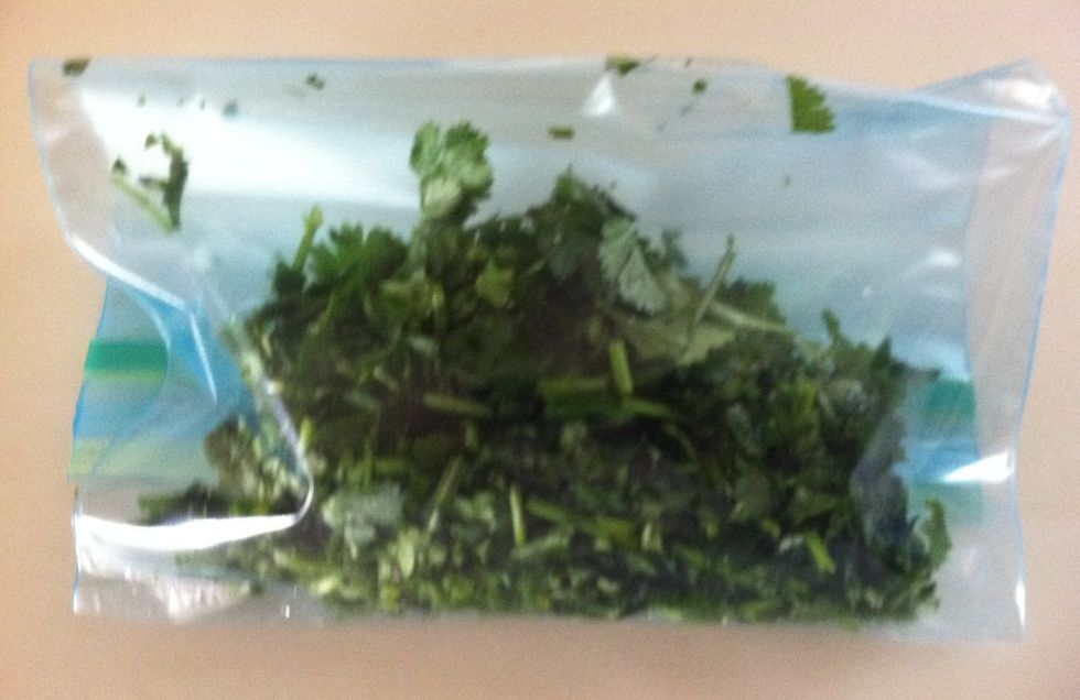 Place larger snips in a ziplock bag and refrigerate. Note: Cilantro has a very strong smell.