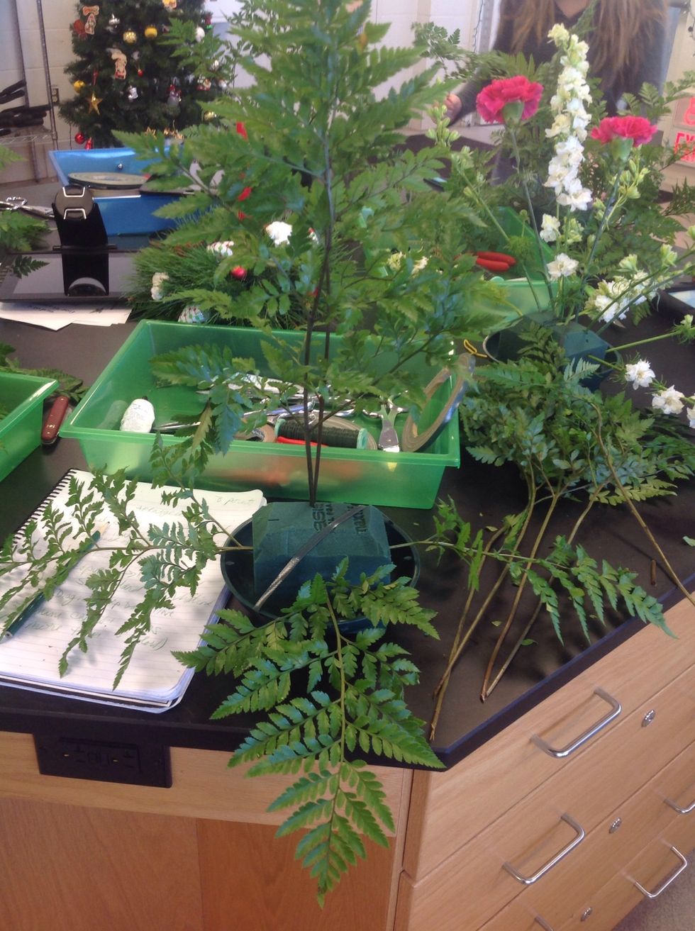 Place leather leaf in 3 sides of the oasis and two pieces back to back in the back