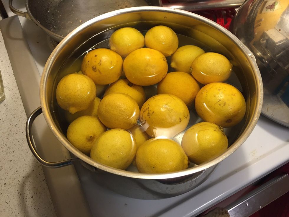 Place lemons in warm water and let them simmer for at least 5 minutes. Warm lemons render more juice than cool or room temperature lemons.