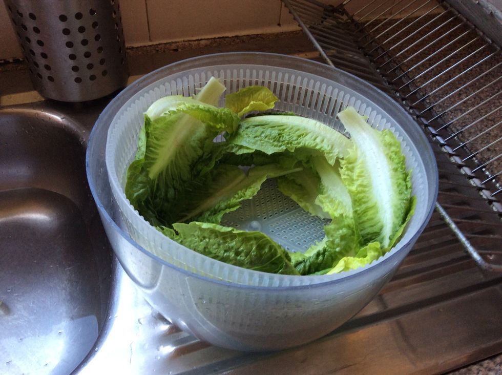 Place lettuce in the salad spiner
