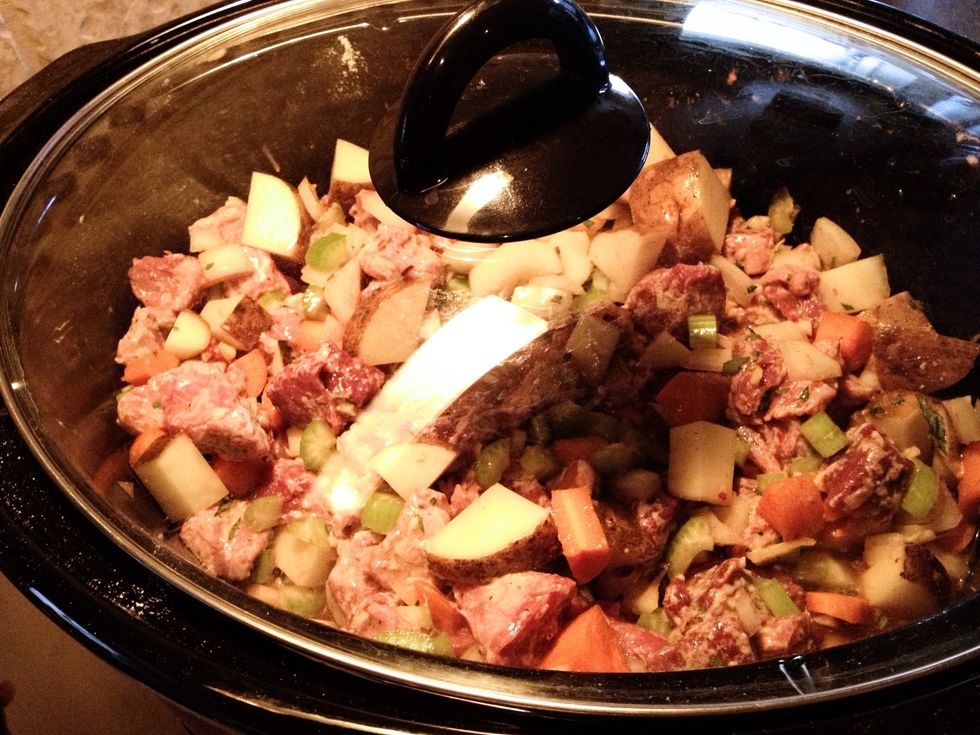 Place lid on crock pot & cook for 8-9 hours on low, 4-5 hours on high.