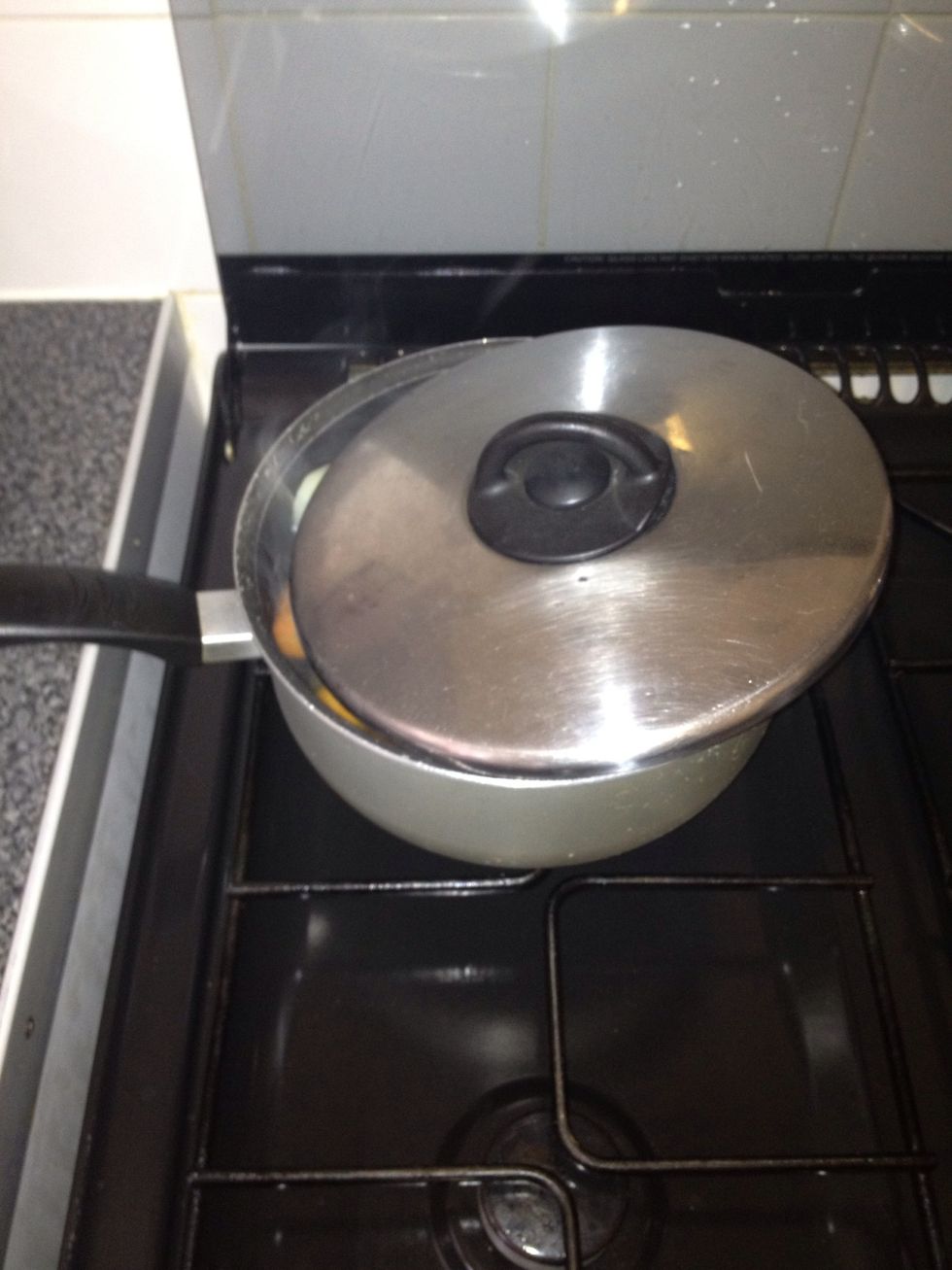 Place lid over pot. Do not cover completely, leave a small gap if possible.
