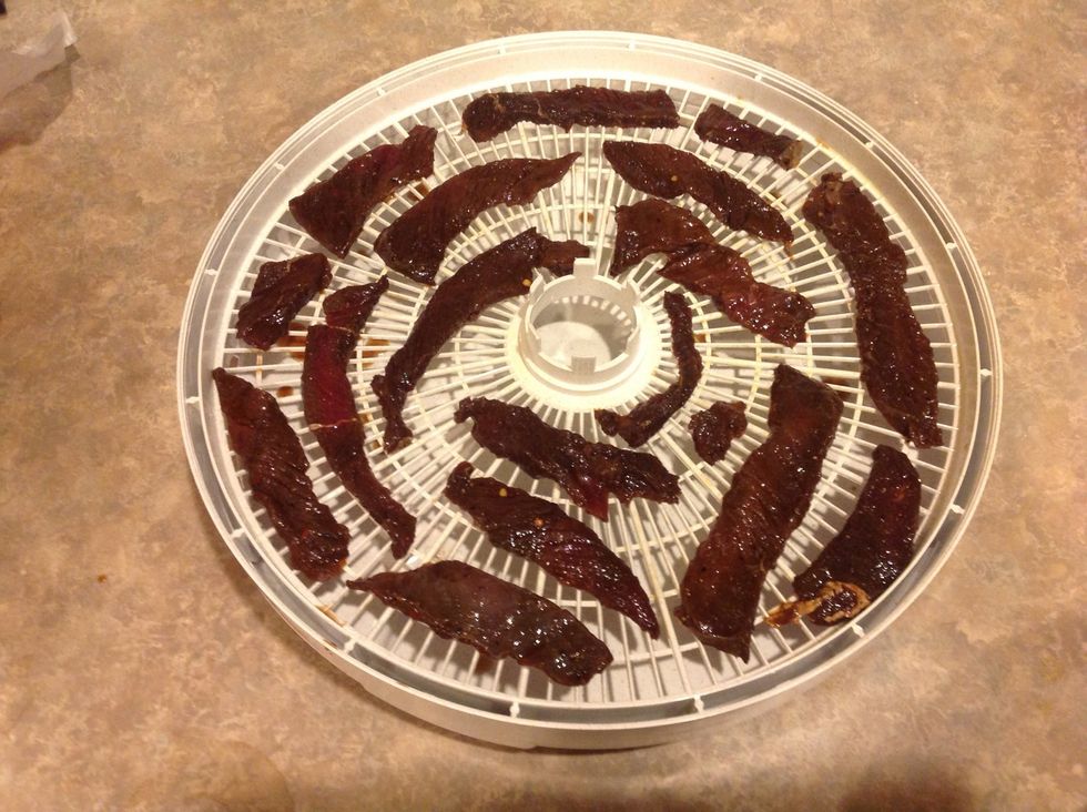 Place marinated meat on dehydrator or cooling rack. Dehydrate meat for 4-15 hours, depending on thickness, in dehydrator. If cooking in the oven set temperature to lowest setting and cook for 12 hours