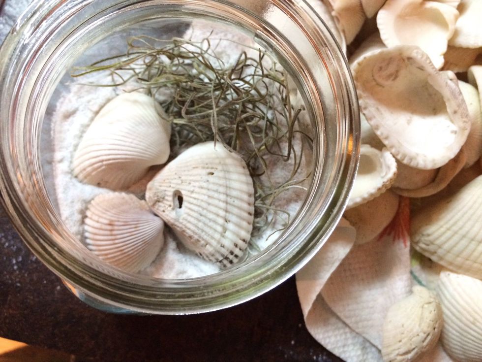 Place next to moss. How nice. \ud83d\ude0e