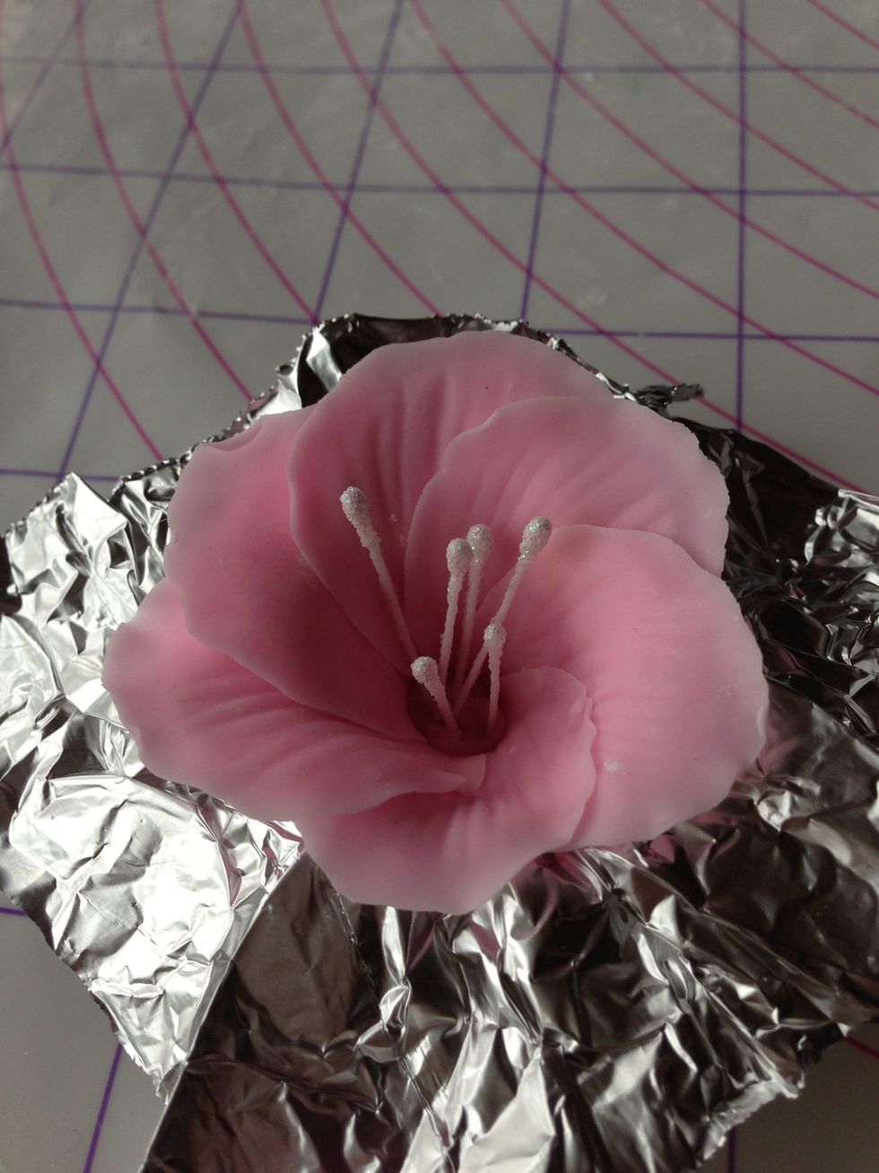 Place on a prepared  aluminum froil then put stamens in the center.