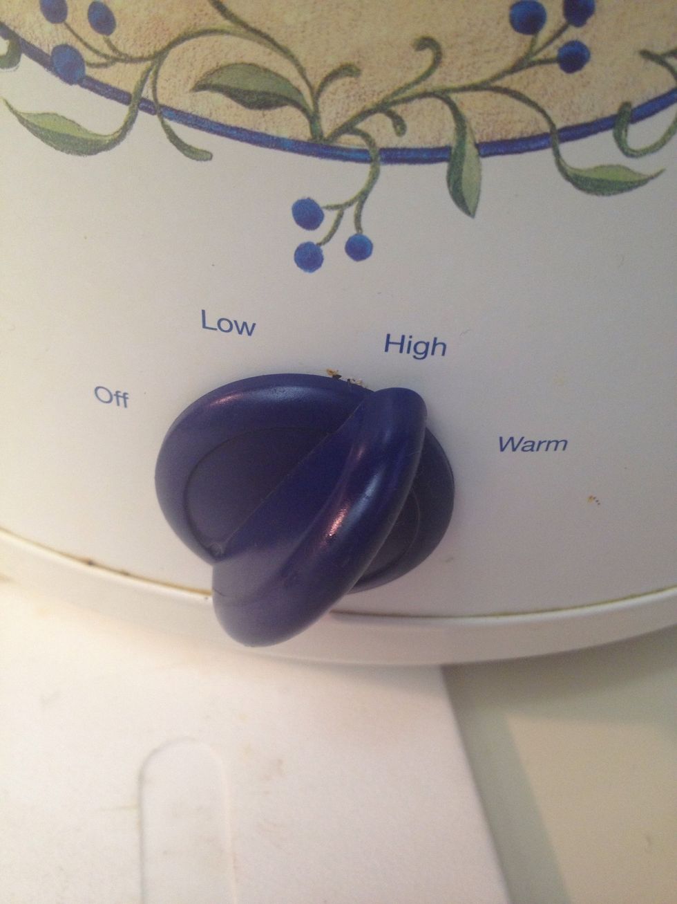 Place on high for 4 hours.