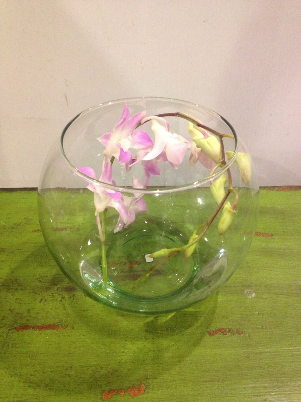 Place one orchid stem in a curving motion within the bowl, allowing the flowers to face in.