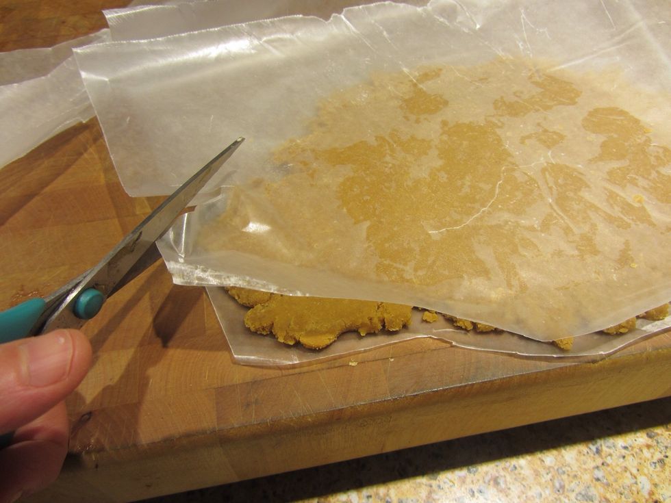 Place patty between the wax paper and cut the excess paper from around the outside edges.