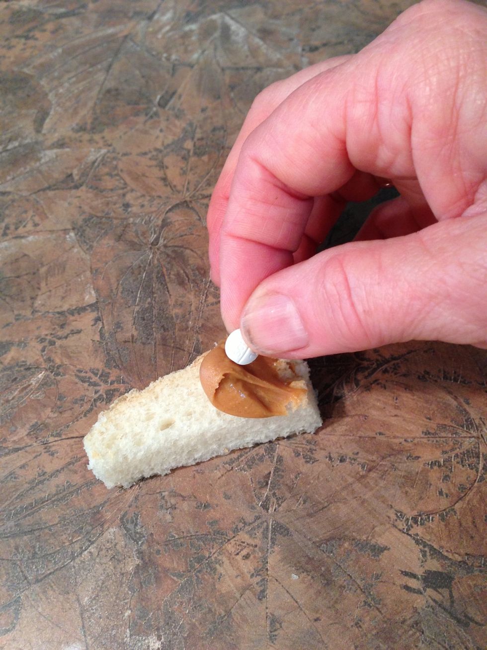 Place pill on peanut butter....