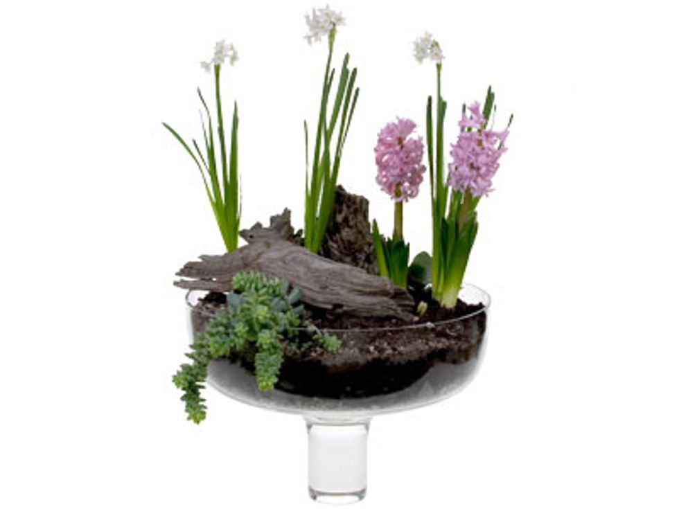 Place plants in groupings and scattered through the container for a natural woodland feeling.