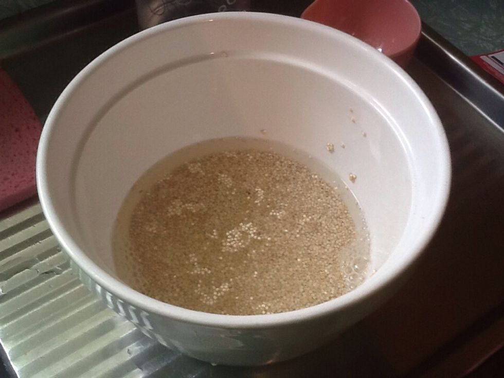 Place quinoa in a bowl with 600ml of water.