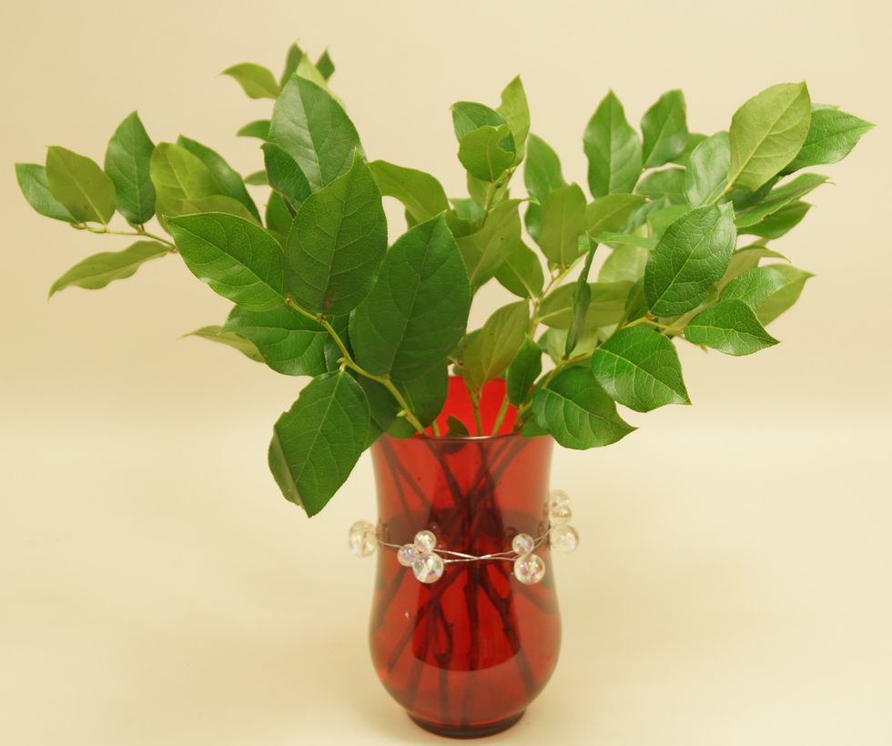 Place salal into vase.