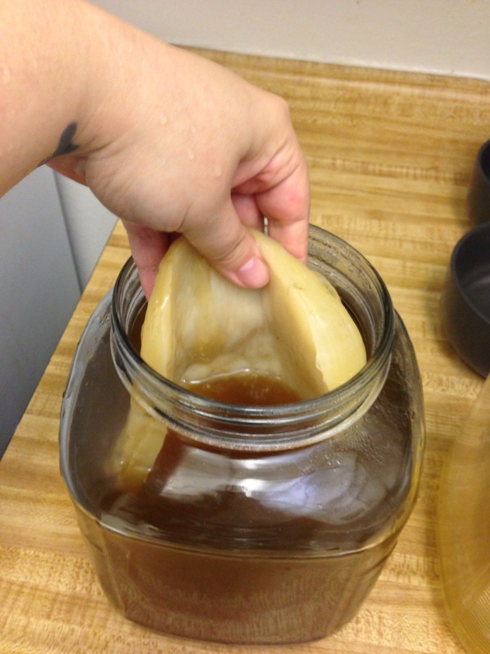 Place SCOBY in cooled tea.