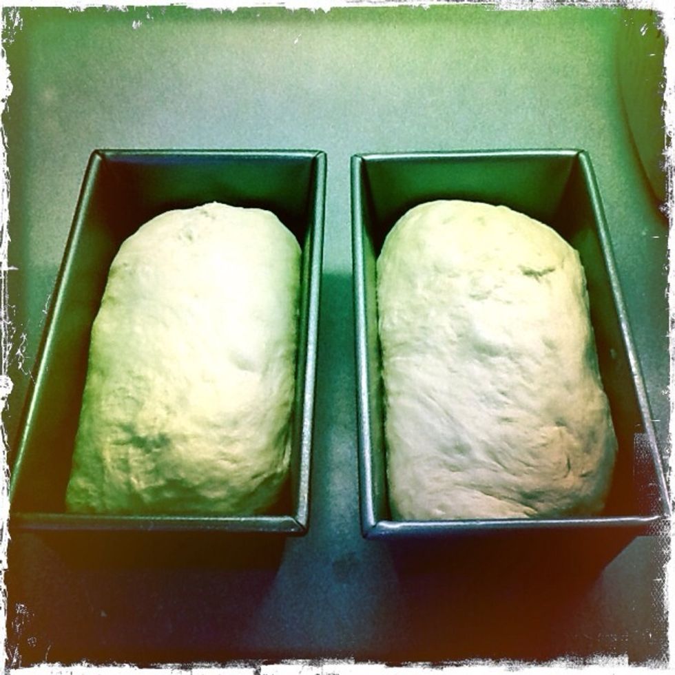 Place seam side down in your loaf pans and...